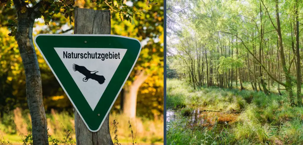 naturschutz erleben wandertag ideen deutschland