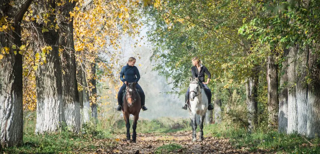 reitausflug unter frauen